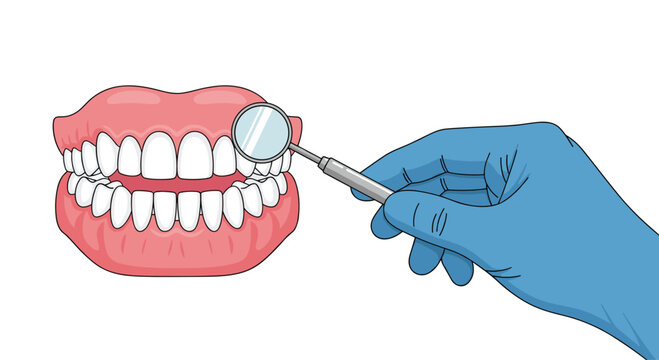 A gloved hand holding a dental mirror inspects a detailed model of a human jaw with complete sets of upper and lower teeth on a white background.