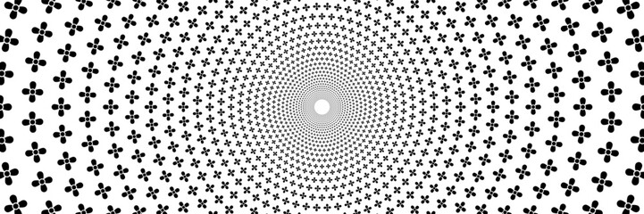 horizontal beautiful spin black flowers on white for background and design.