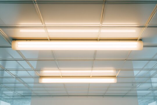 Close-up of fluorescent tubes in a modern office ceiling with cool white illumination and clean architectural lines