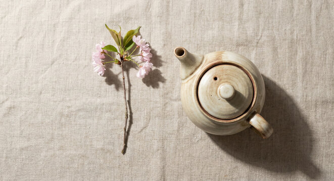 Neutral linen backdrop with delicate sakura sprig lying beside a ceramic teapot, flat-lay composition