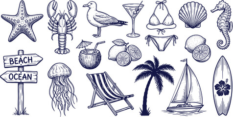 Vintage beach ocean illustration set, nautical summer elements with starfish lobster seagull sailboat palm surfboard shells engraving style © Jisan World