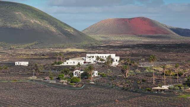 Aerial view of traditional white finca on Lanzarote island, house is surrounded by palm trees. This isolated villa stands among black lava fields and volcanic vineyards. Lanzarote, Canary Islands