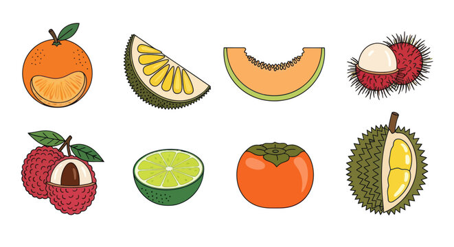 Colorful illustration of various tropical fruits