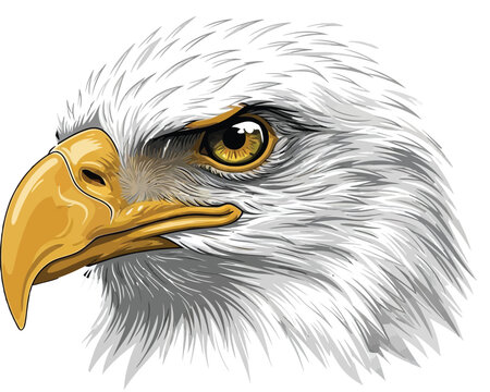 Detailed illustration of an American bald eagle head shows sharp focus on the intense yellow eye and hooked beak.