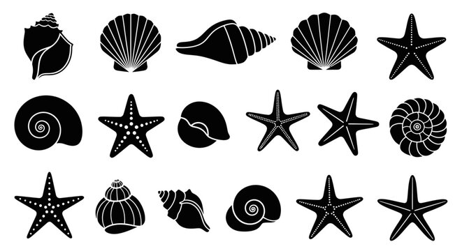 Collection of Black Silhouette Seashells and Starfish Vector Icons