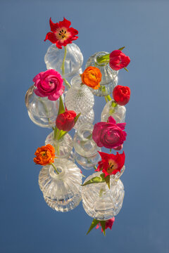 abstract art with tulip and ranunculus flowers in glass vases on mirror