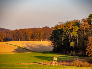 Hoch und Jägersitz am Waldrand © focus finder