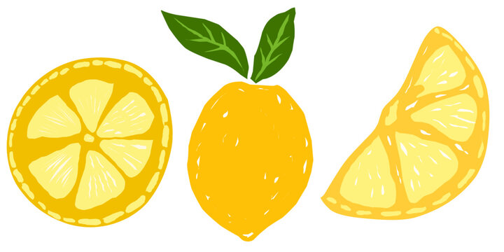 Lemone oranges fruit drawn