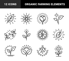 Fototapeta premium Sustainable agriculture and botanical growth elements for environmental branding. Minimalist monoline pictograms featuring organic farming, seed germination, and floral vitality concepts.