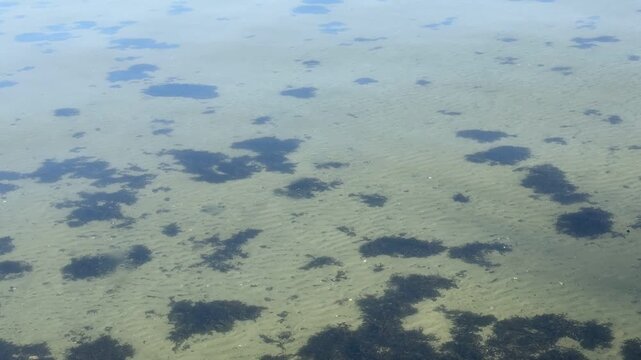 Meeresboden und Blick entlang eines Stegs auf die Kieler Förde