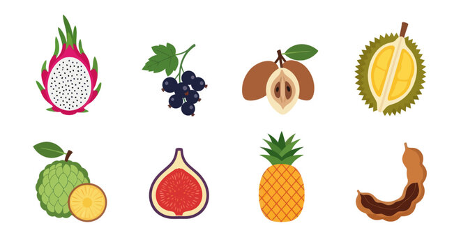 Variety of tropical fruits colorful illustration