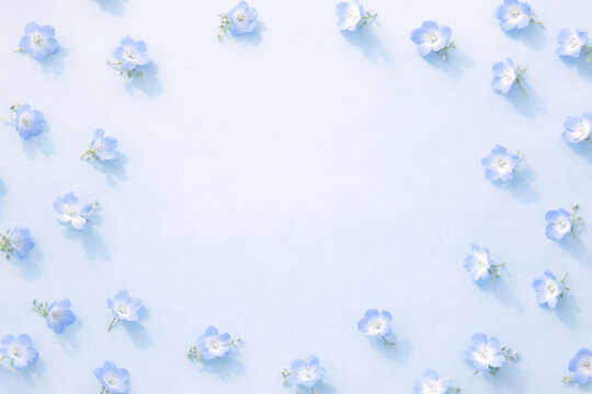 ネモフィラ Images – Browse 15,936 Stock Photos, Vectors, and Video