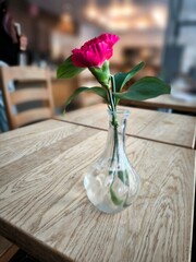 Pink carnation in a glass base on a wooden table in a cafe