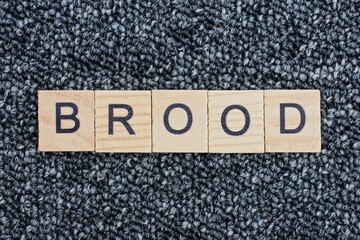 text the word brood from wooden small letters with black font on an gray table
