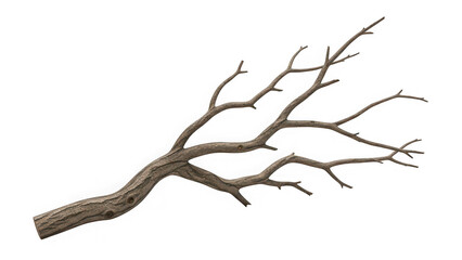 Fototapeta premium Bare tree branch illustration isolated on transparent background