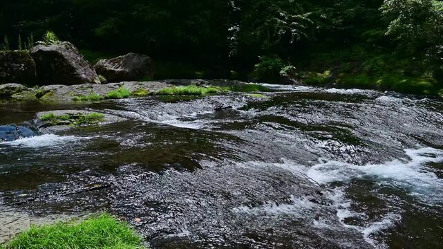 広大な岩盤を走る透明な水の流れ、夏のせせらぎ
「一瞬の涼を、永遠の景色に。五感を潤す水の表情。」
熊本県菊池市(菊池渓谷)
The clear water flowing through the vast rock face, the murmur of a summer stream.