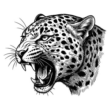 Leopard head logotype or mascot hand drawn ink sketch. Engraving style vector illustration.
