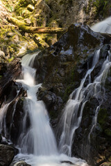 Obraz premium Hamilton Mountain Trail, trailhead in Beacon Rock State Park, Washington State