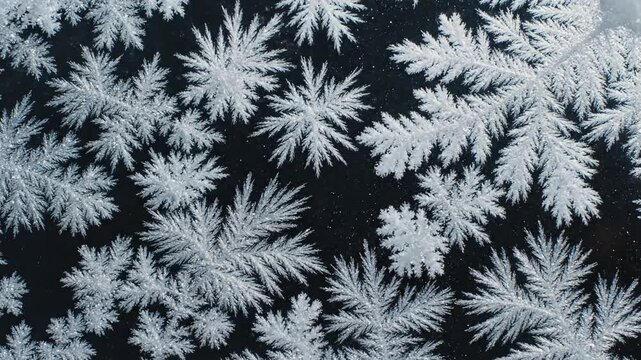 Green Screen beautiful window freezing animation from borders to center timelapse frost forming transition natural crystal icing isolated on black background with and white luminance matte alpha