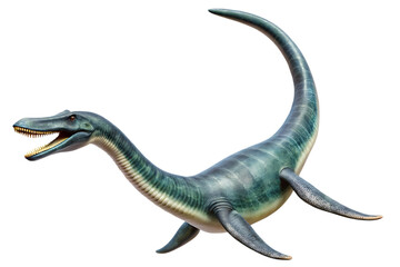 Fototapeta premium Prehistoric plesiosaurus with long neck and large flippers isolated on a transparent background dinosaur