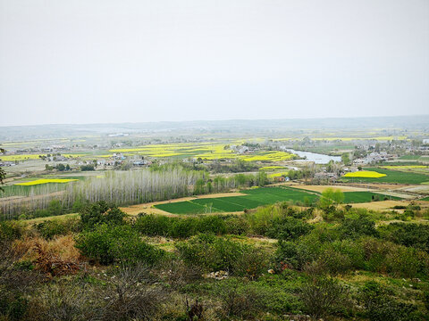 Aerial View of Agricultural Fields and Valley Landscape with Rapeseed Crops