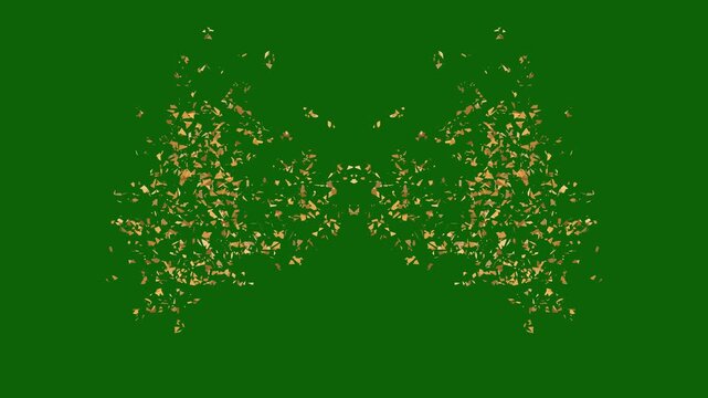 gold Isolated Confetti party popper Explosion Realistic confetti Blast Isolated on green screen Background,Double burst of confetti, exploding confetti,vibrant golden paper flakes and streamers shower
