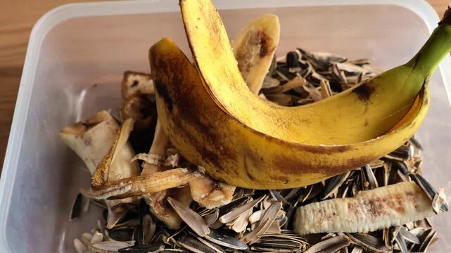 Compost production.A hand places banana peels into a compost bin. Banana peels and seed husks in a clear container.Reuse of products. 4k footage