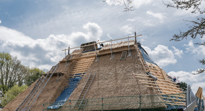 Stork on a thatched roof &ndash; a good sign for prosperity and positive renovation