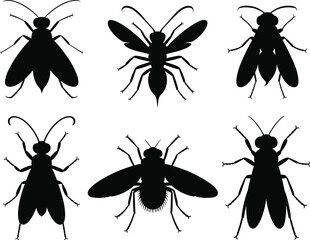 Set of insect silhouette vector icons, black flying bugs and beetles collection for entomology, pest control, nature, and wildlife illustration © Akadosh