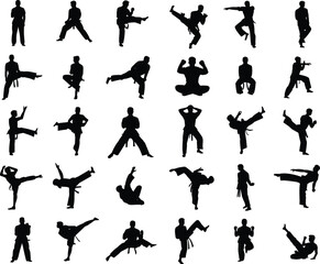 Set of martial arts fighter silhouette vector illustration, karate kick poses, taekwondo training action, combat movement, fitness exercise, sport activity design © Akadosh