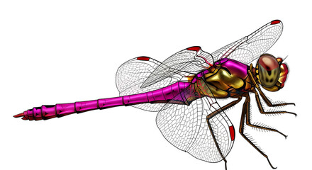 Glowing dragonfly with translucent pink and gold wings in detailed illumination isolated on a transparent background