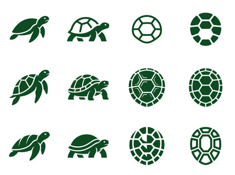 Green turtle and tortoise icons collection featuring side views and top shell patterns isolated on white background for marine biology and nature conservation