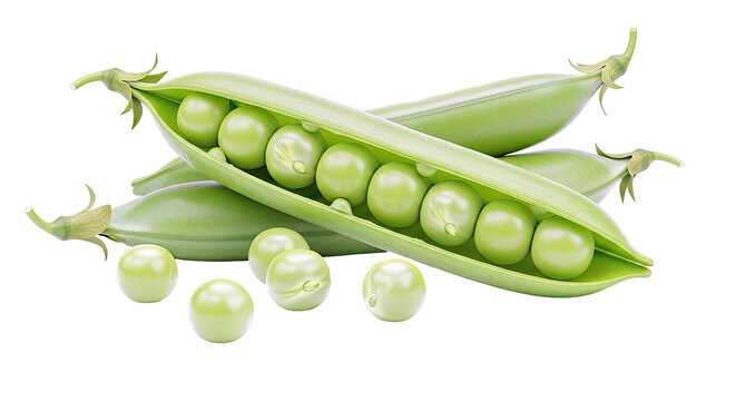 Fresh Green Peas in Pods