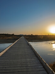 黄金に染まる帰路。夕陽が描く流れ橋の叙情