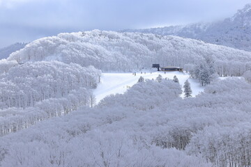 霧氷の蔵王温泉スキー場中央ゲレンデ