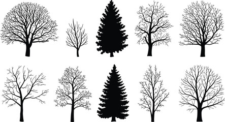PrintSilhouette tree collection, black tree shapes, forest illustration, botanical design, nature elements, deciduous and coniferous trees, vector art, landscape © MDKAZOL