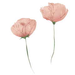 水彩風ピンクの花デザイン｜フラワー・植物・春・ナチュラル装飾素材