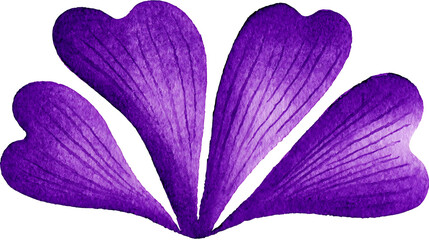 The purple flower has a heart shape and is painted with watercolors