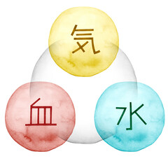 東洋医学における気・血・水の相関図　水彩 イラス