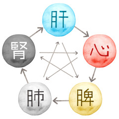 東洋医学　陰陽五行説の五臓文字入り相関図　水彩 イラスト