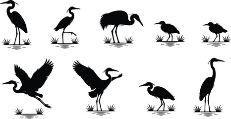Silhouette illustration of elegant herons in various poses near water, showcasing bird movement, nature diversity, wildlife behavior, and graceful avian anatomy.