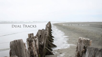 Serene Beach Scene with Weathered Wooden Posts Leading to Tranquil Ocean Under Overcast Sky for Calming Visuals
