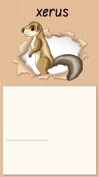 Educational Alphabet Animation for Letter X with Xerus Ground Squirrel