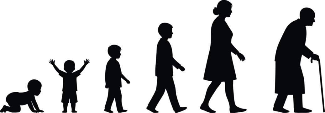 Black silhouettes showing stages of human life from infancy to old age, growth, aging, development vector illustration for education, biology, social design projects