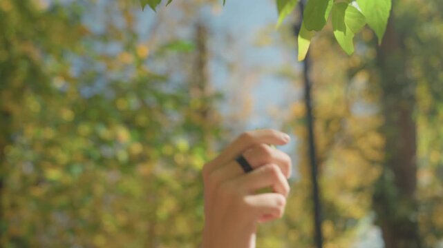Hand reaching for leaf in park, parents and baby explore nature together, warm sunlight highlights ring on finger, playful curiosity and laughter, cozy outerwear and beanie, candid family stroll