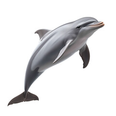 Obraz premium Happy Dolphin Leaping Out of Water Isolated on White Background