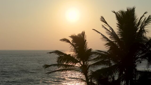 4K peaceful tropical evening showing a glowing sun setting behind coconut tree leaves on the coast