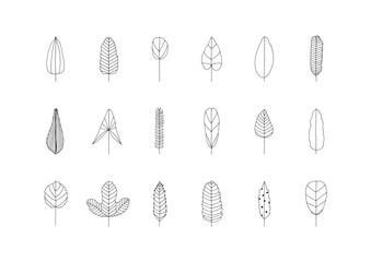 色々な形をした葉っぱの線画手描きイラストセット