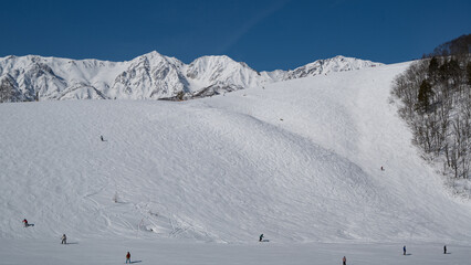 白馬岩岳スノーフィールド　ゲレンデ風景