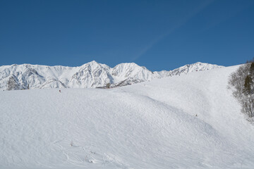白馬岩岳スノーフィールド　ゲレンデ風景
